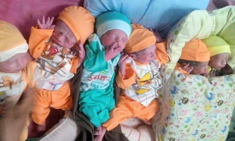 یک مادر پاکستانی 6 قلو زایید