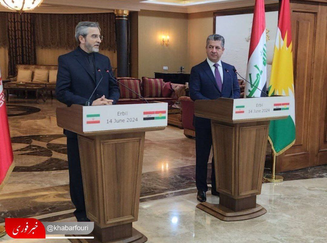 باقری: ایران، عراق اور خطے کے حکام کی دانشمندی دشمنوں کو زیادتی کی اجازت نہیں دیتی