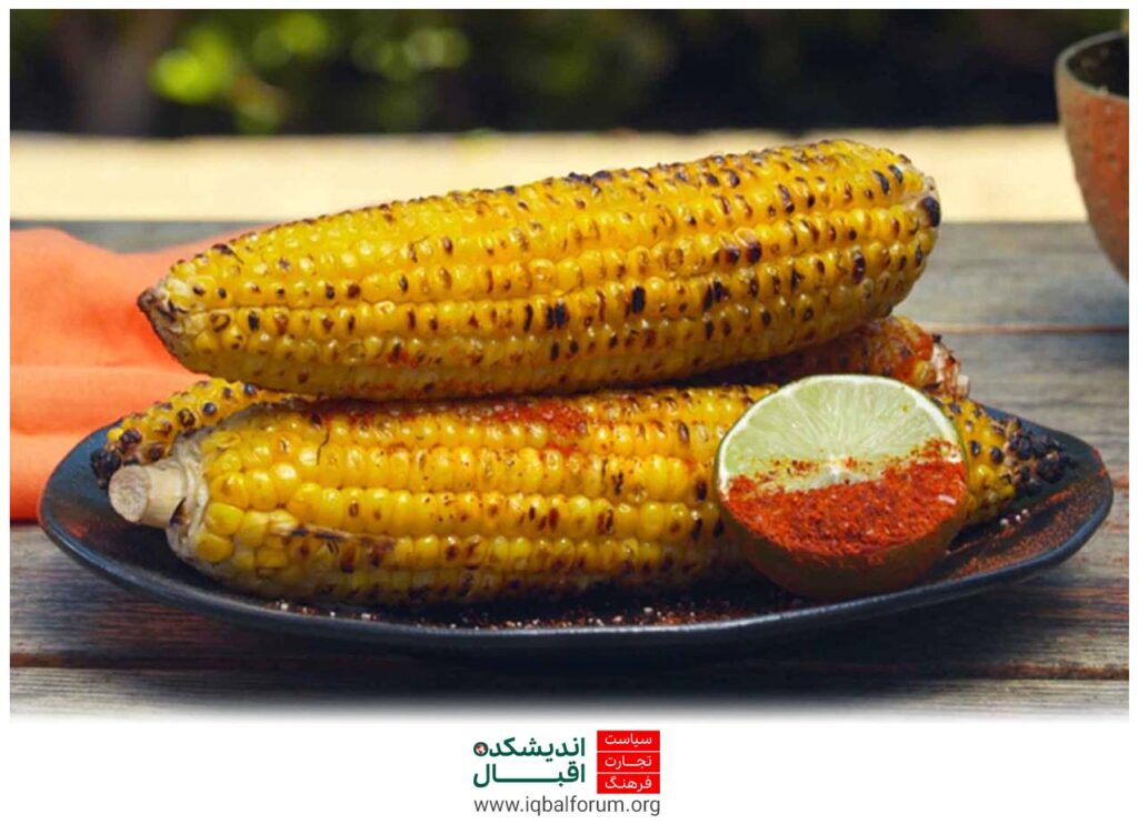 موفقیت کاشت ذرت در پاکستان