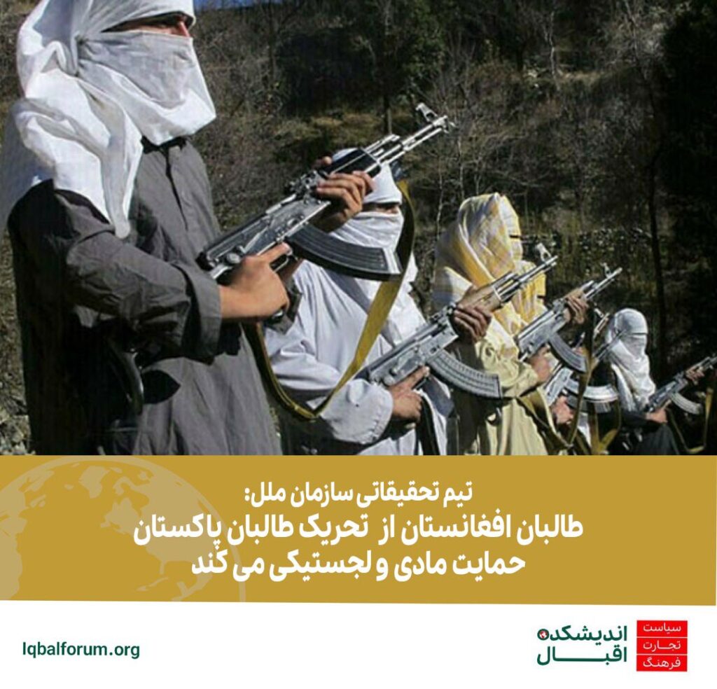 تیم تحقیقاتی سازمان ملل: تحریک طالبان پاکستان تحت حمایت طالبان افغانستان است
