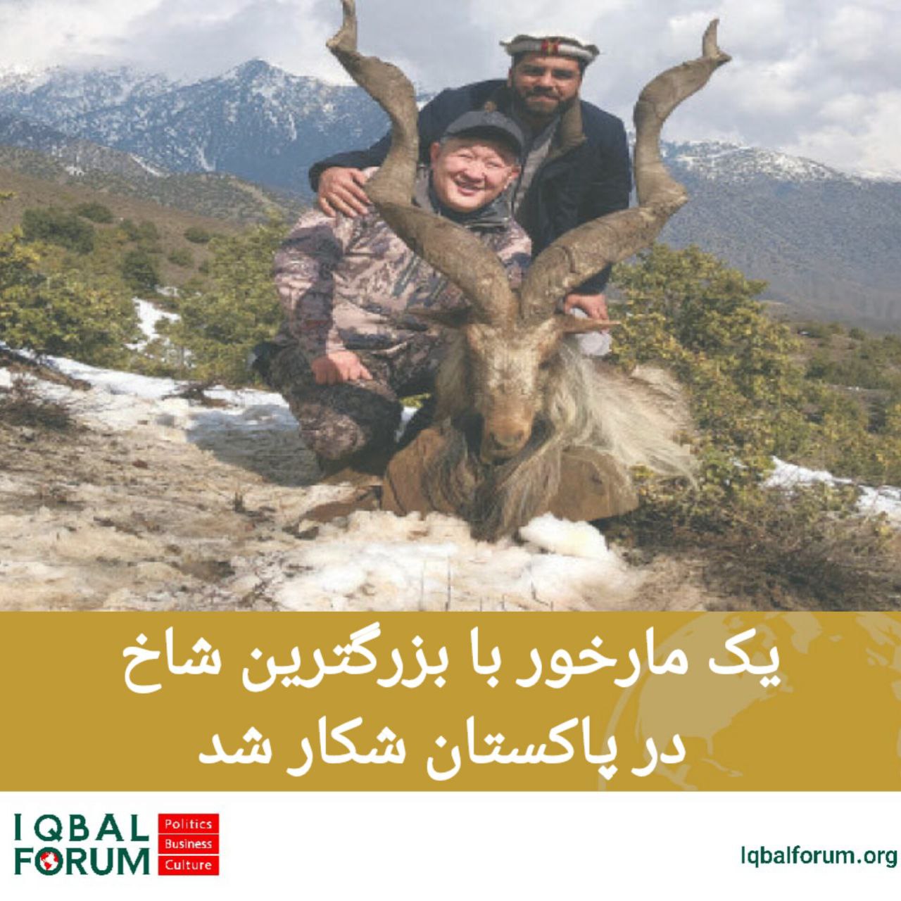 یک مارخور با بزرگترین و بلندترین شاخ در پاکستان شکار شد.
