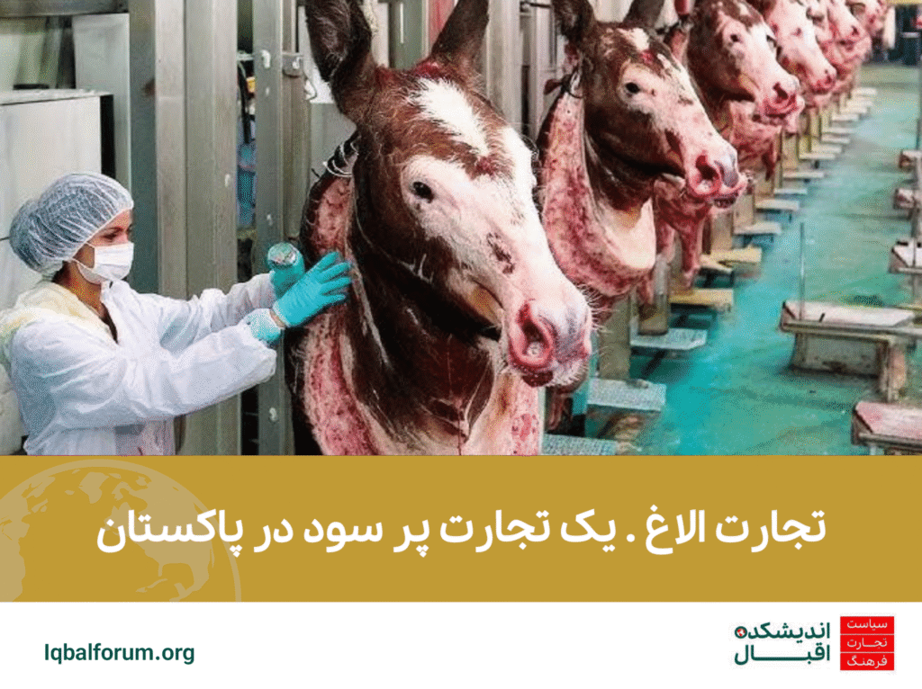 تجارت الاغ . یک تجارت پر سود در پاکستان