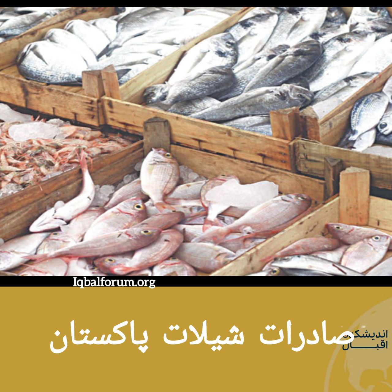 صادرات  شیلات پاکستان در یک سال خیر