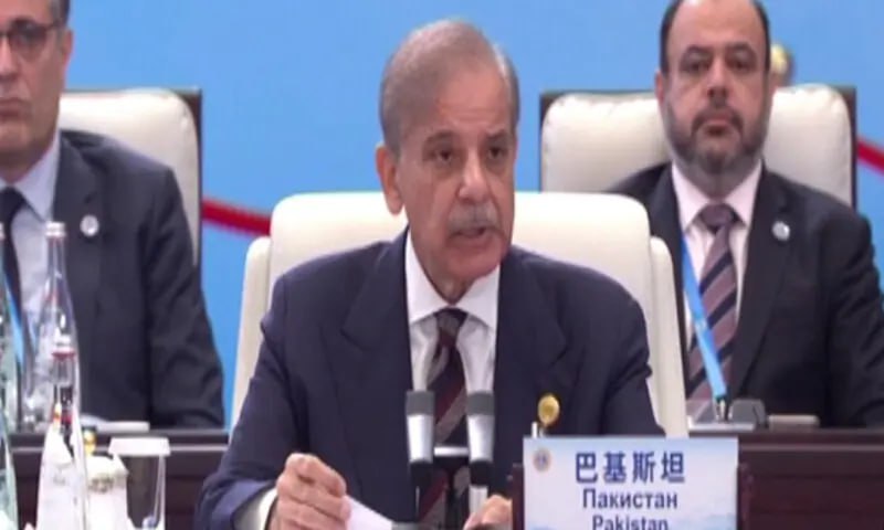 شهباز شریف: پاکستان به حاکمیت تمام اعضای سازمان شانگهای و همسایگانش احترام می‌گذارد