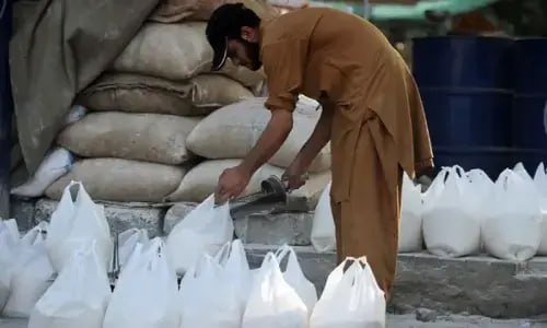 بحران گندم در پاکستان: محدودیت‌های پنجاب «اثر دومینو» ایجاد کرد !
